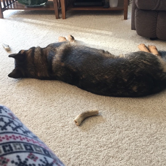 Meet your Posher, Christine - Picture 1 of 1